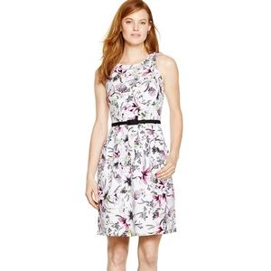 Sleeveless Floral Seamed Tulip Belt Dress White House Black Market